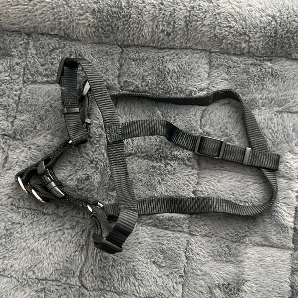 Barely used harness